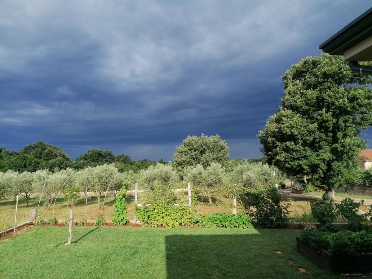 Ferienresidenz Lavandula Nova Vas  Buitenkant foto